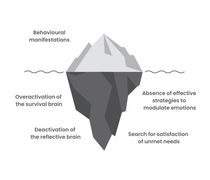 Le modèle de l'iceberg