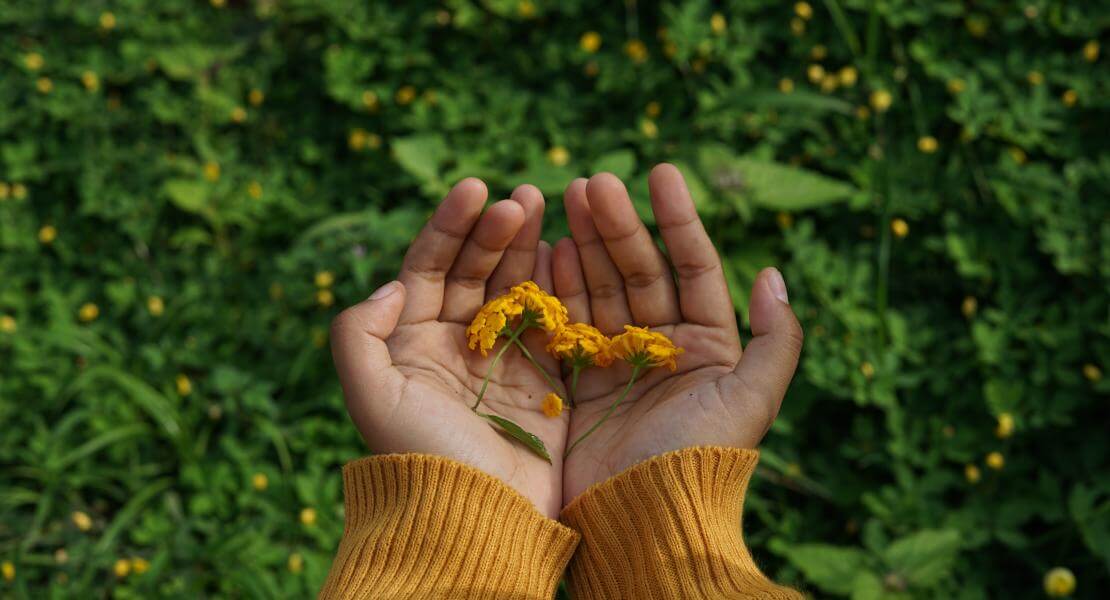 grass background with hands presenting flowers 