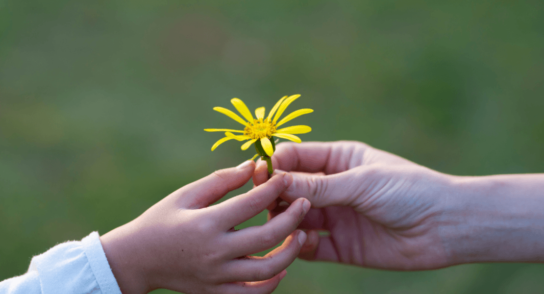 Un enfant et son parent tiennent une fleur jaune dans leurs mains jointes