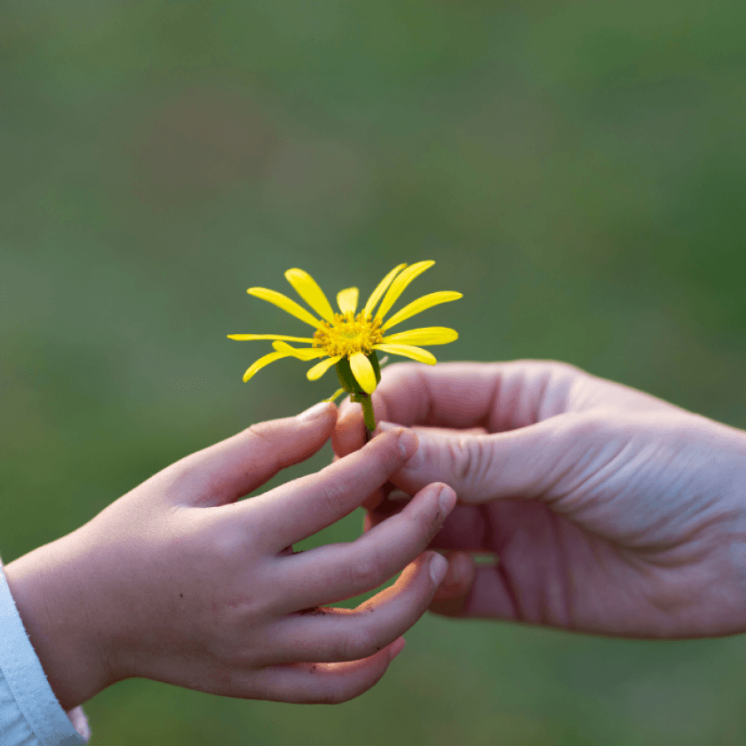 Un enfant et son parent tiennent une fleur jaune dans leurs mains jointes