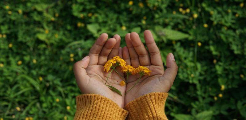 fond d'herbe avec des mains qui présentent des fleurs 