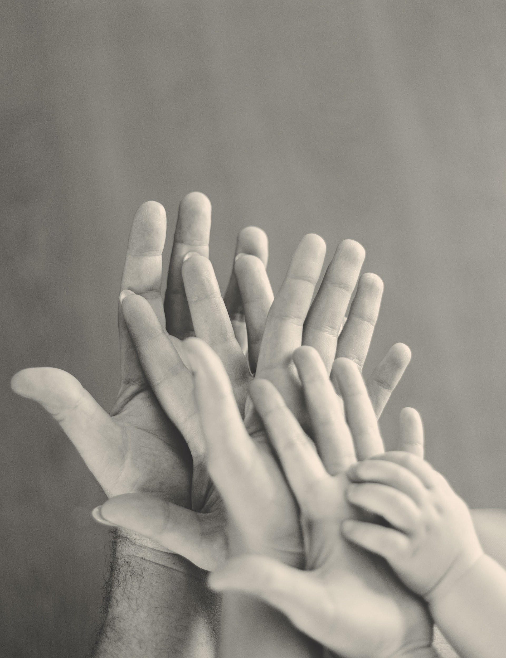 Childrens' and adults' hands, one in the other